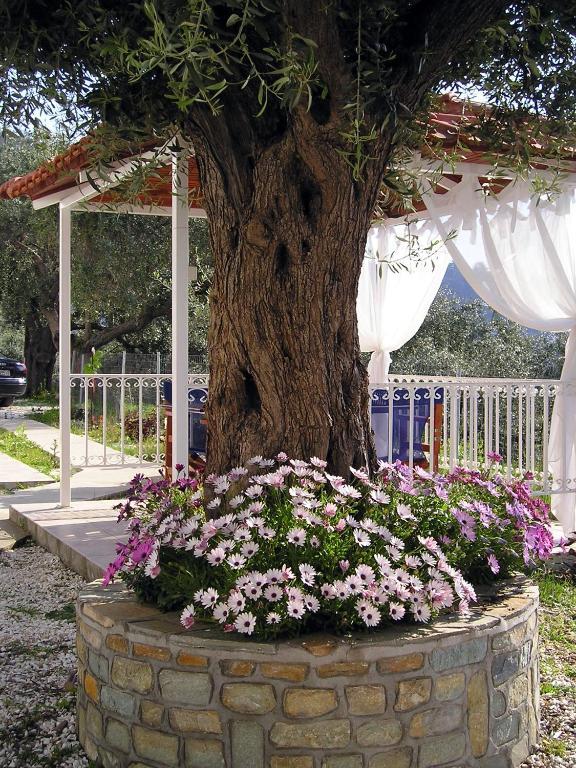 Golden Beach Inn Chrysi Ammoudia Oda fotoğraf